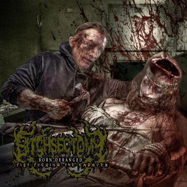 Fist Fucking the Cadaver cover