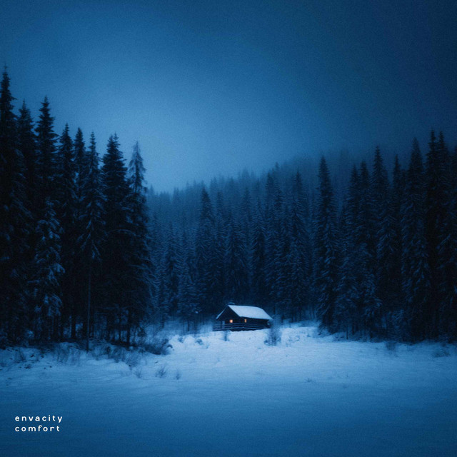 Обкладинка: comfort — Envacity