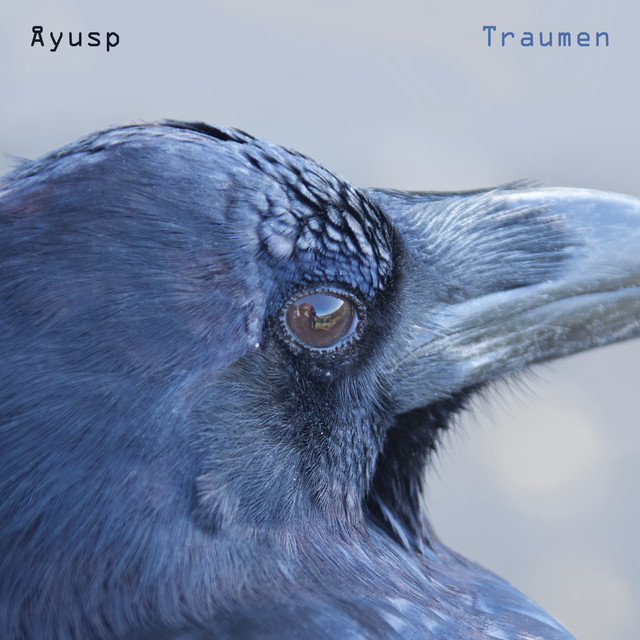 Traumen (Radio Edit) album image