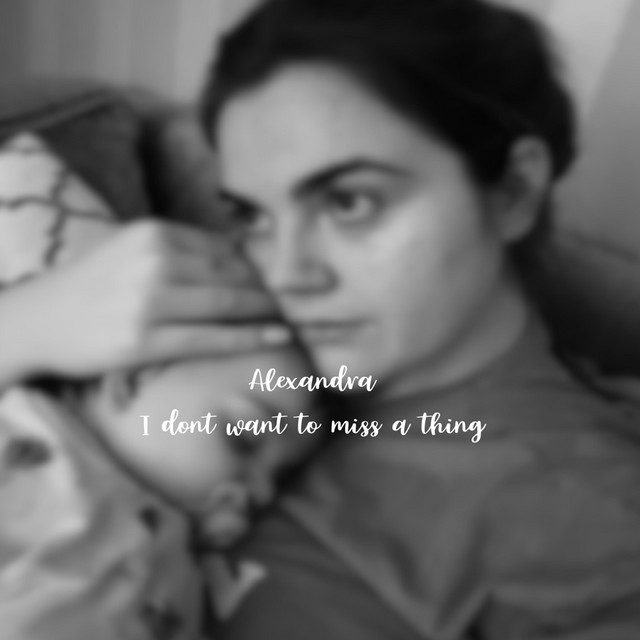 I dont want to miss a thing cover art