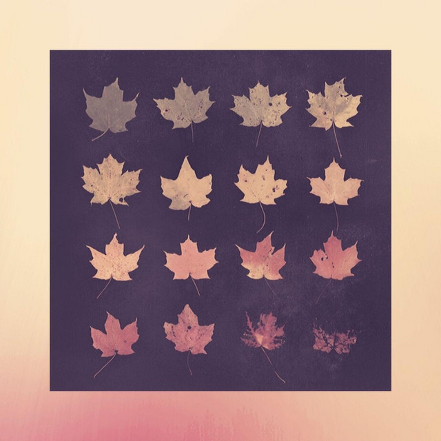 Thicket (Myfrend Remix) (single)