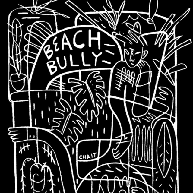 Beach Bully cover art