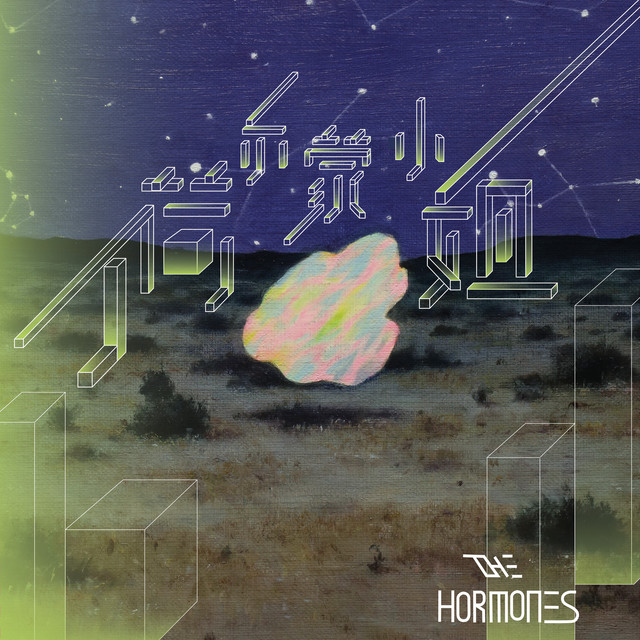 The Hormones 荷尔蒙小姐 cover art