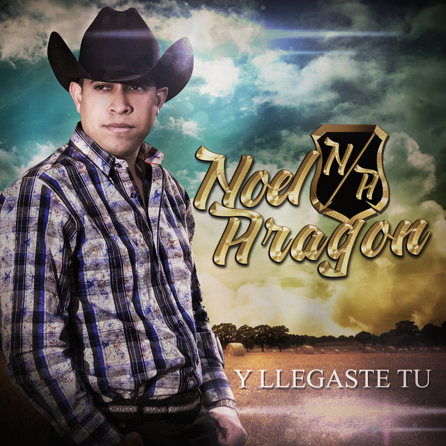 Y Llegaste Tu cover art