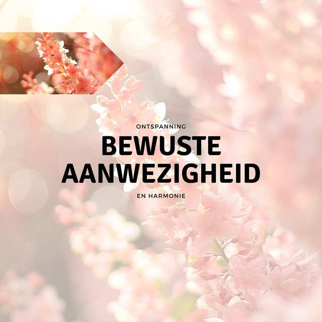 Zen muziek cover art