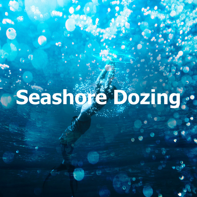 Seashore Dozing cover art