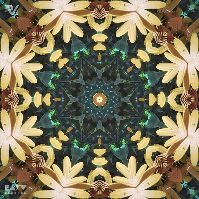 The Divine, Pt. 2 cover art