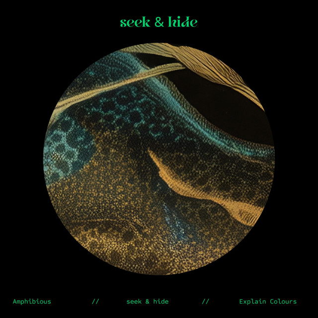 seek & hide cover art