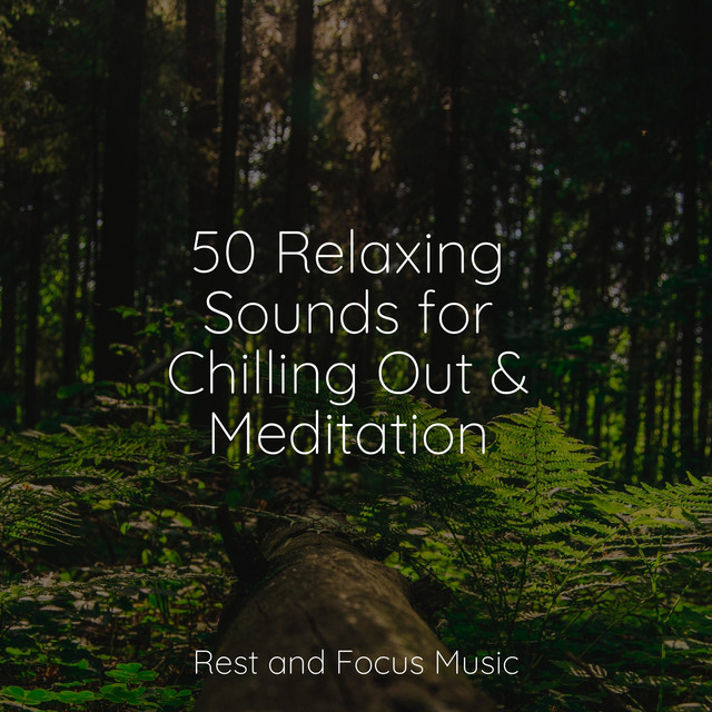 50 Relaxing Sounds for Chilling Out & Meditation cover art