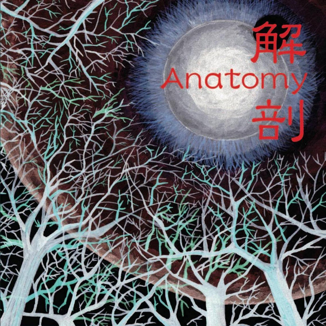 解剖 cover art