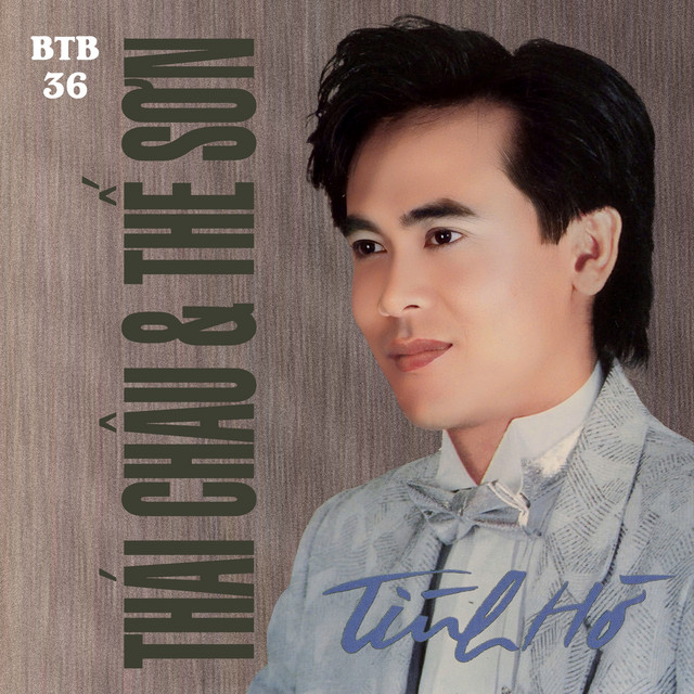 Tình Hờ cover art