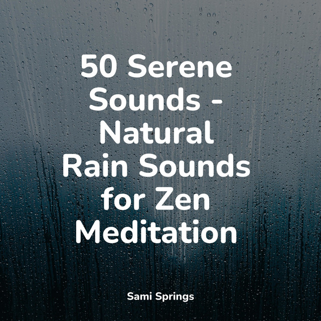 50 Beautiful Autumn Rain Sounds - Album by White Noise For Baby Sleep ...