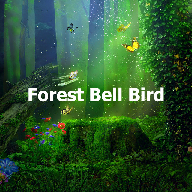 Forest Bell Bird - Album by Pro Sound Effects Library | Spotify