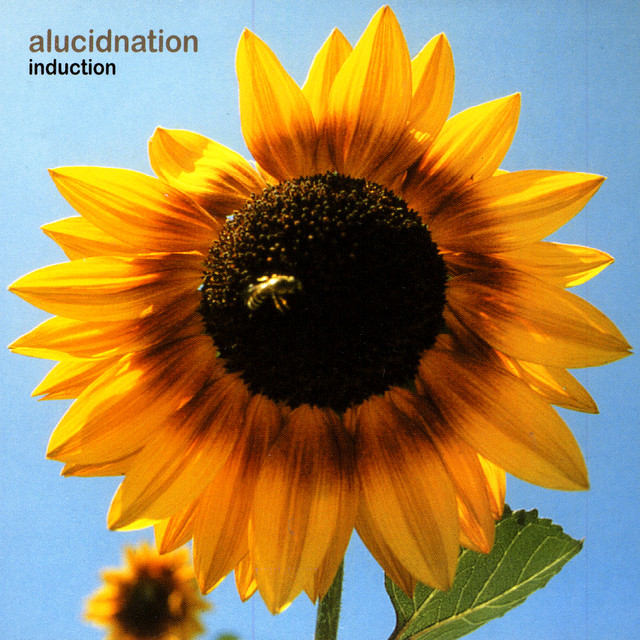 Induction cover art