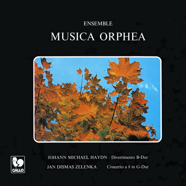 Concerto à 8 concertanti in G Major, ZWV 186: I. Allegro - song