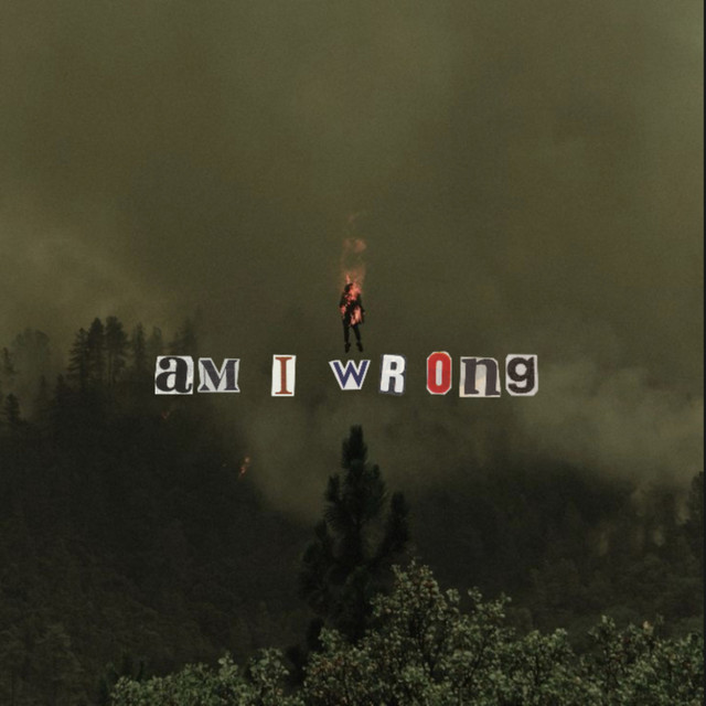 Am I Wrong cover art
