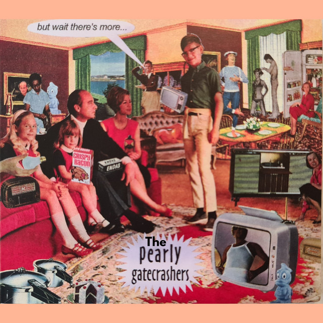 But Wait There's More cover art