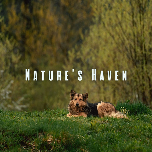 Nature's Haven: Ambient Sounds for Joyful Pets cover art