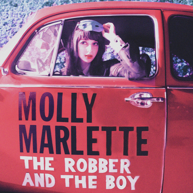 The Robber and the Boy cover art