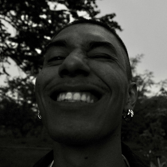 203 cover art