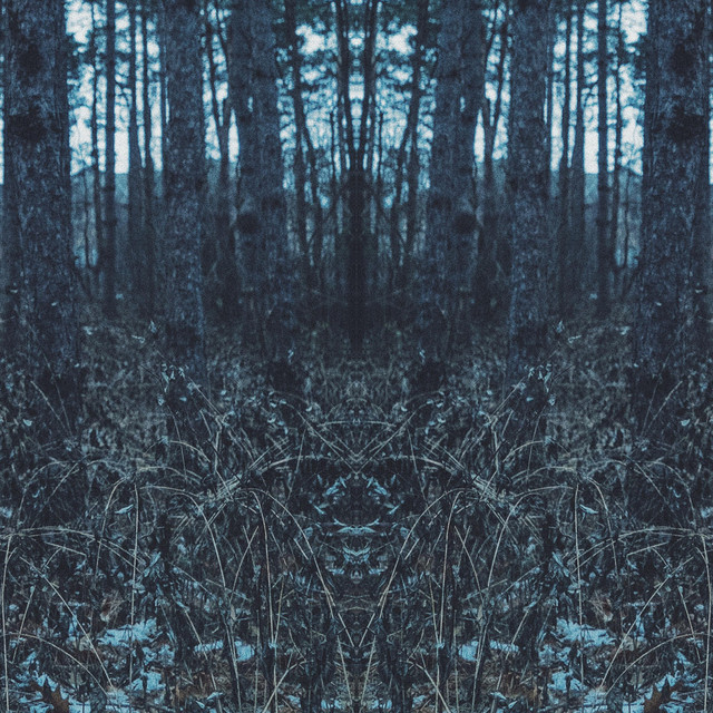 DIGESTION cover art