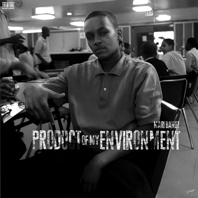 Product Of My Environment cover art