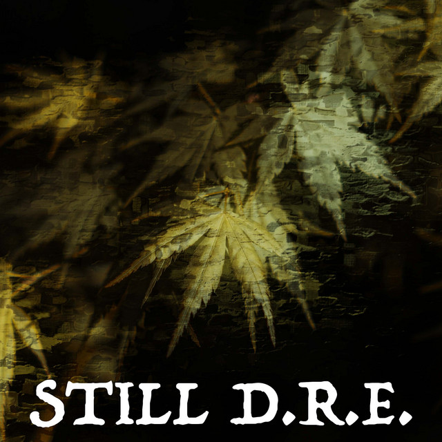 Still D.R.E.