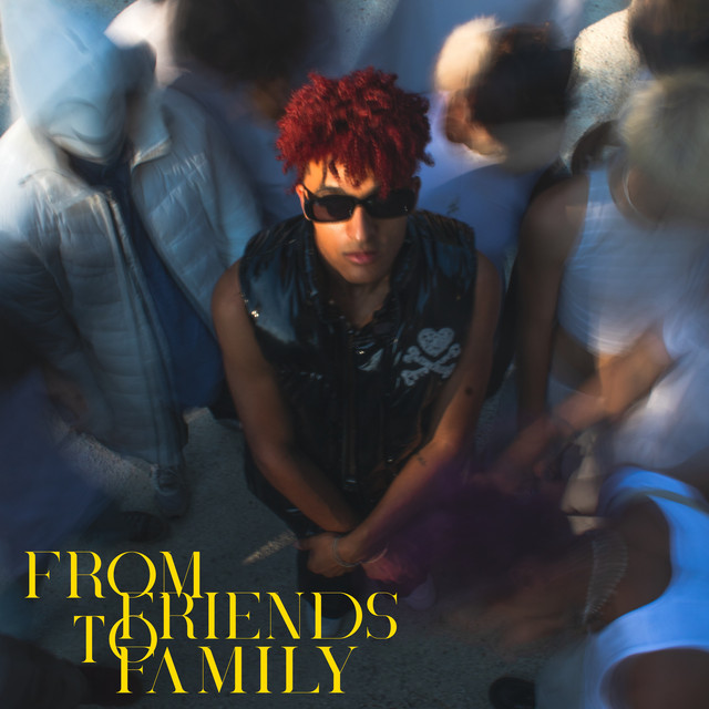 FROM FRIENDS TO FAMILY cover art