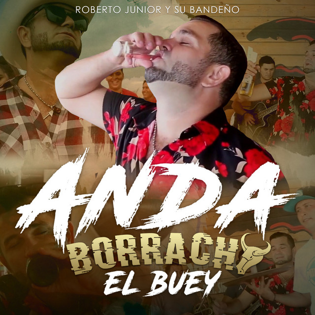 Anda Borracho el Buey