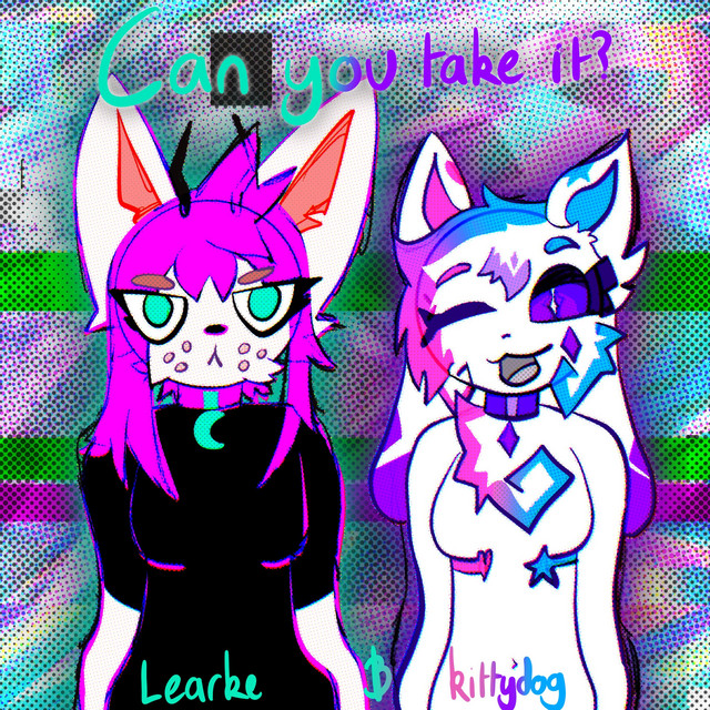 Can you take it? cover art