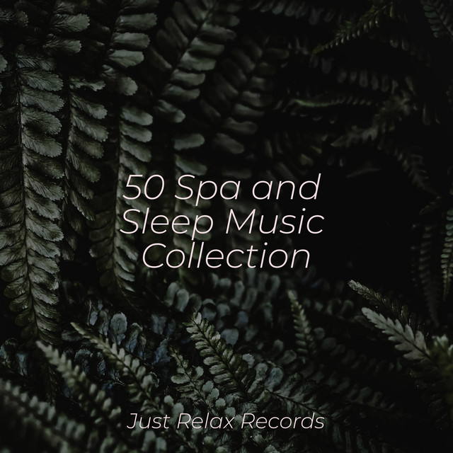 50 Spa and Sleep Music Collection - Album by Bedtime Lullabies | Spotify