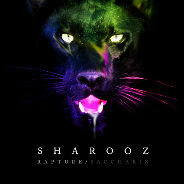 Saccharin cover art