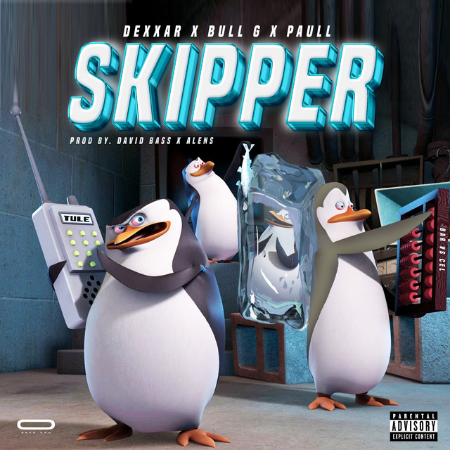 Skipper cover art