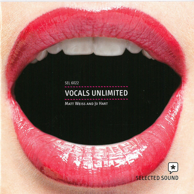 Rollercoaster Vox cover art