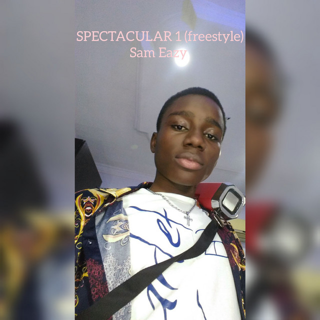 SPECTACULAR 1 (freestyle) - song and lyrics by Sam Eazy | Spotify