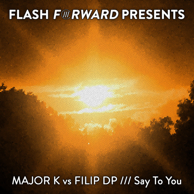 Say To You - Radio Edit