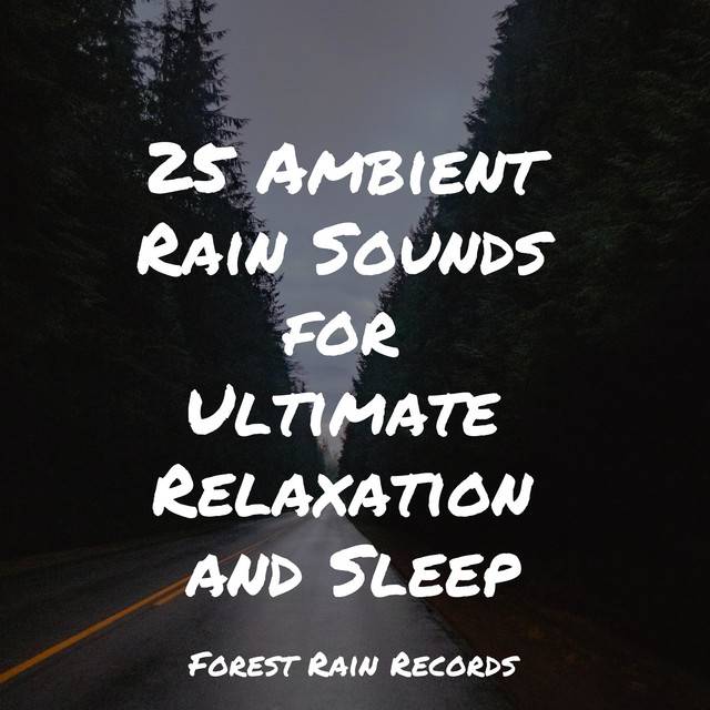 25 Ambient Rain Sounds for Ultimate Relaxation and Sleep - Album by ...