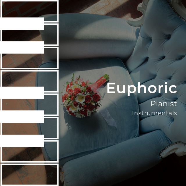 zZz Euphoric Pianist Instrumentals zZz - Album by Piano Pianissimo ...