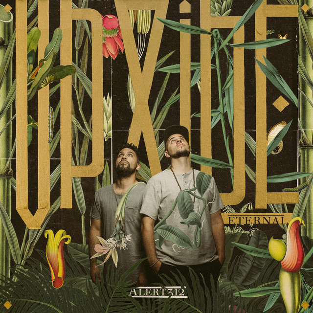 The Upside Eternal cover art