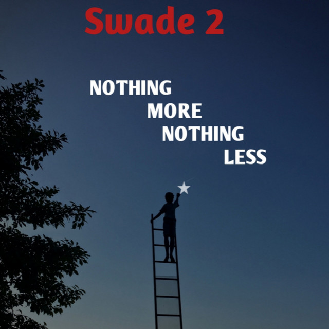 Nothing more nothing less - Single by Swade 2 | Spotify