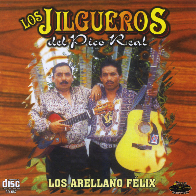 Los Arellano Félix cover