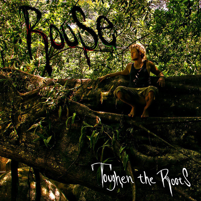 Toughen The Roots cover art
