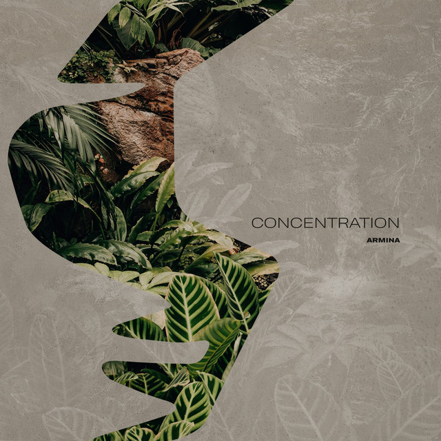 Cover art for ARMINA — Concentration