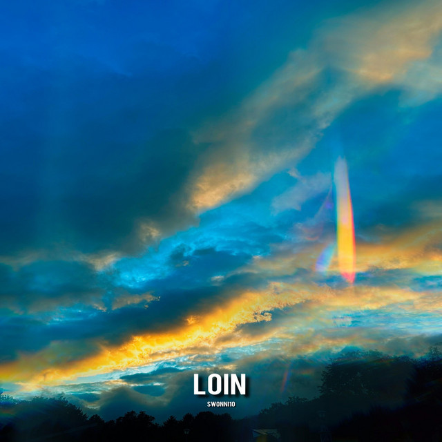 Loin