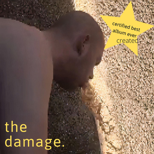 The Damage. cover art