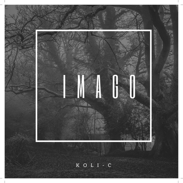 IMAGO cover art