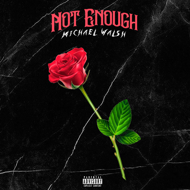 Not Enough cover art