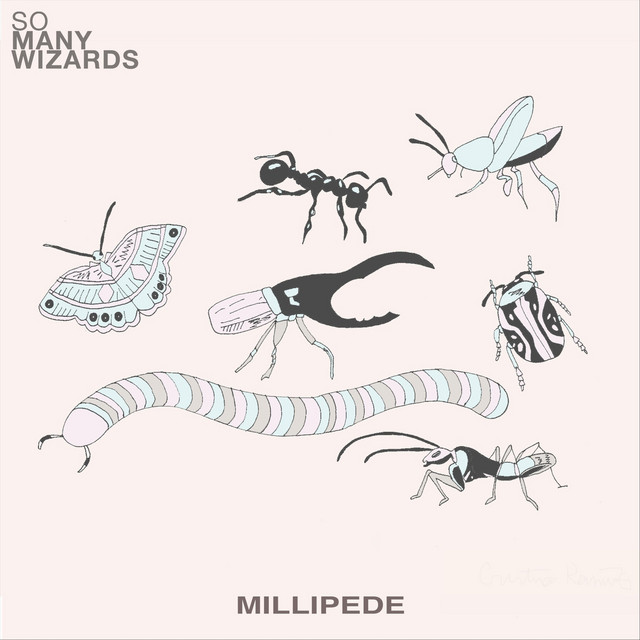 Millipede cover