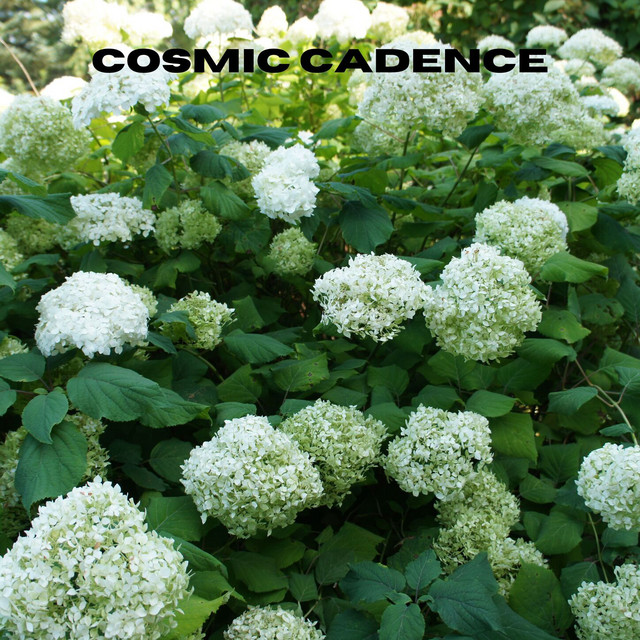 Cosmic Cadence