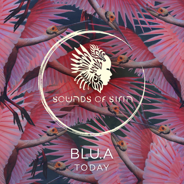 Today cover art